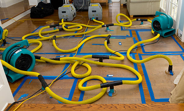 Professional Structural Drying And Dehumidification technician working in Dania, FL